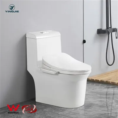 Bidé de asiento de inodoro inteligente